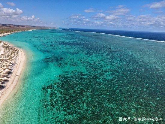 哈尔滨游客太多了,狐狸宝宝累到罢工了,狐狸宝宝:睡不醒根本睡不醒